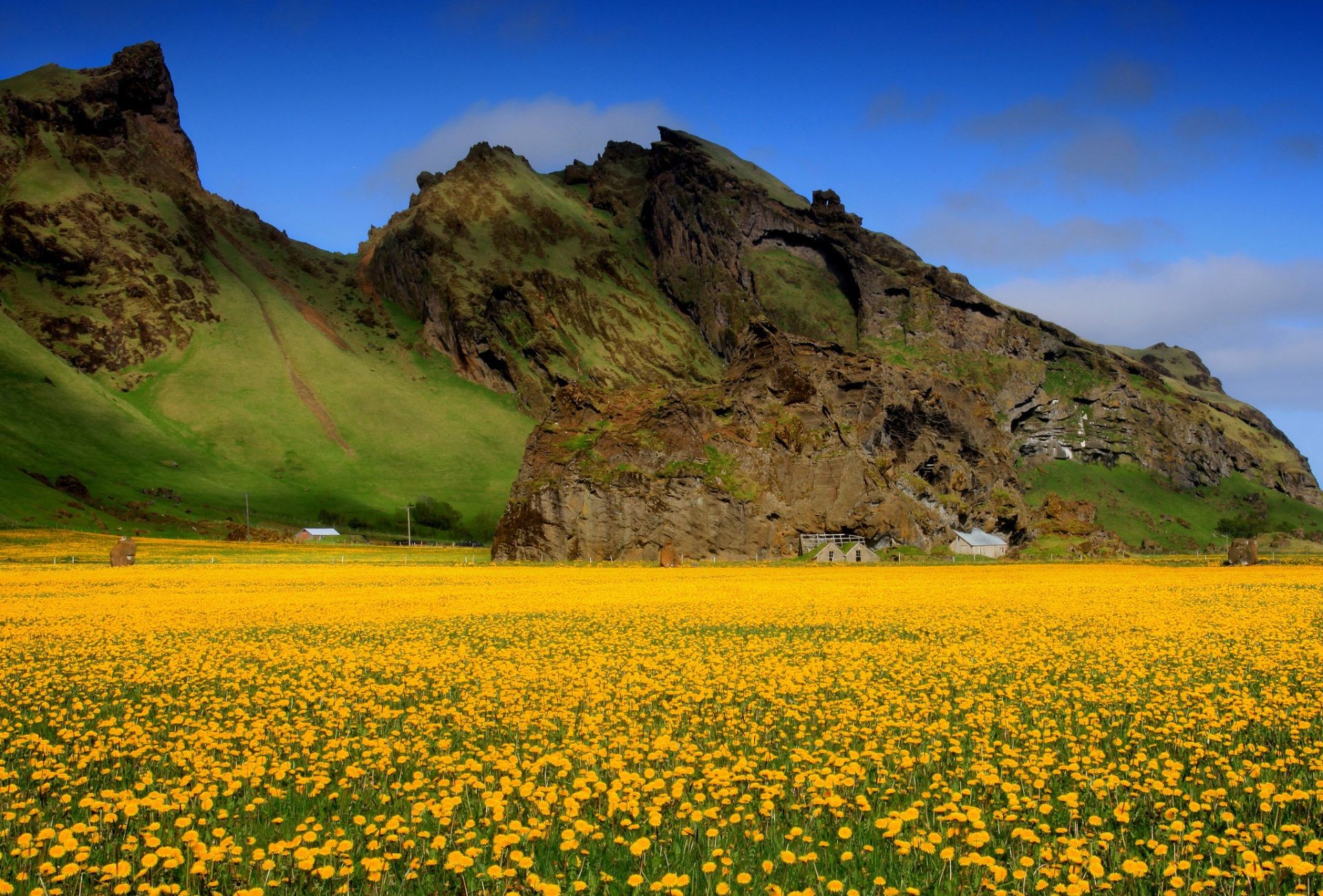 mountains landscape sky nature travel outdoors mountain summer grass field scenic flower agriculture