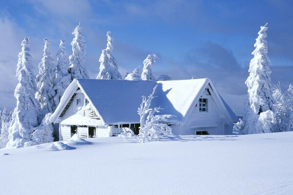 Casa de campo solitario cubierto de nieve