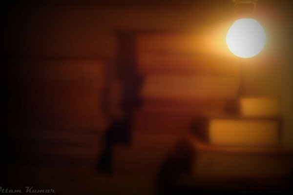 Light in the bookstore in the evening