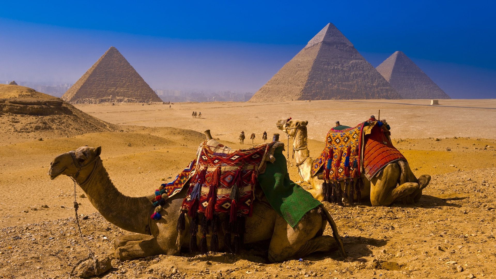 berühmte orte kamel pyramide wüste beduine sphinx reisen pharao säugetier arabisches kamel zwei grab eins nomad sand sitzen tageslicht trocken zug tourismus