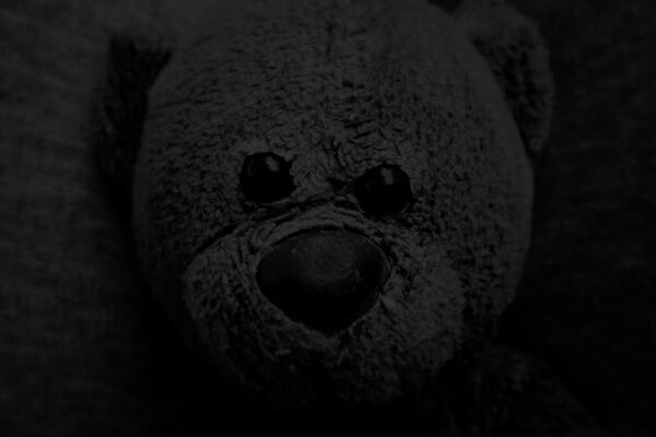 A gray teddy bear looks at you without blinking