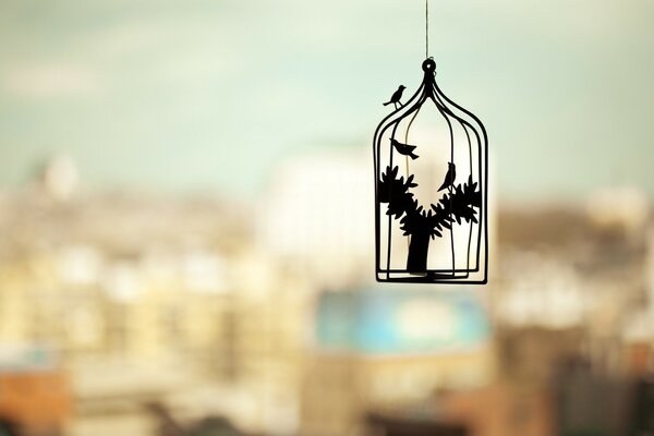 Blurred background of a city with a cage birds and a plant