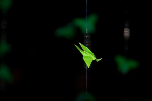 Flore et faune dans l ancien arigami