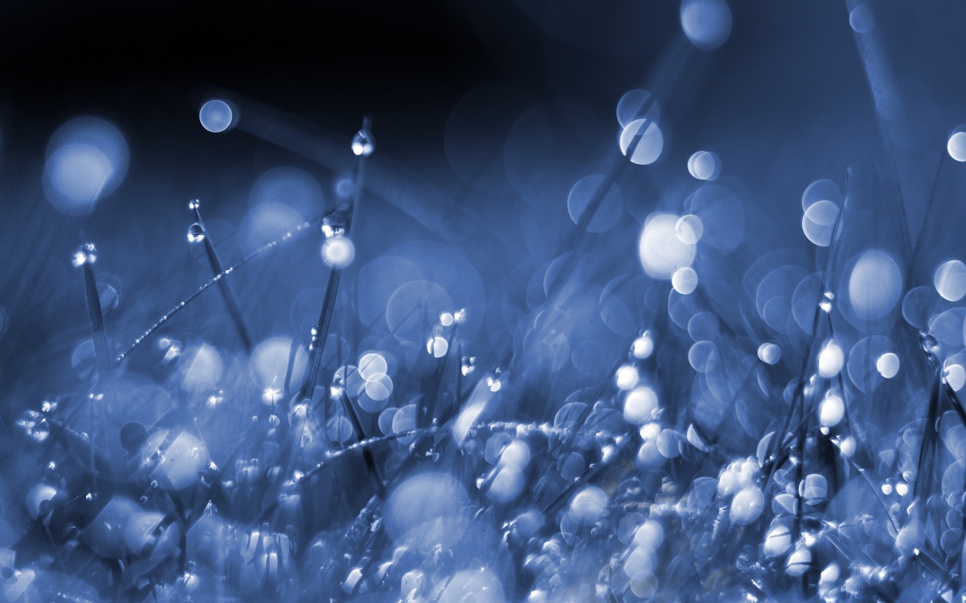 bokeh regen nass tropfen wasser tau licht tropfen blase abstrakt leuchten sauber sauber desktop reflexion hell flüssigkeit kälte farbe spritzen weihnachten