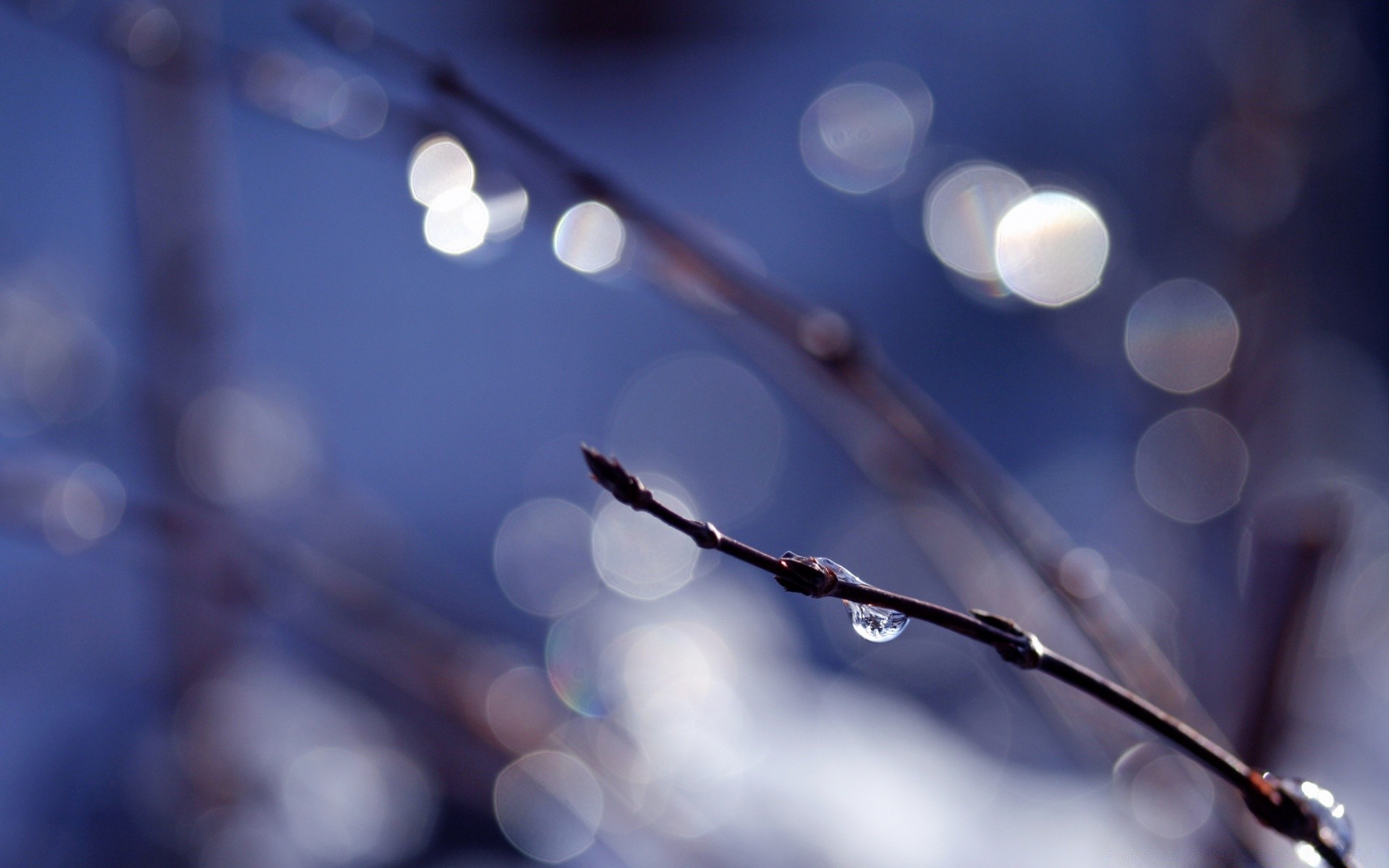 bokeh sfocatura messa a fuoco colore desktop inverno astratto natale luce dop luminoso