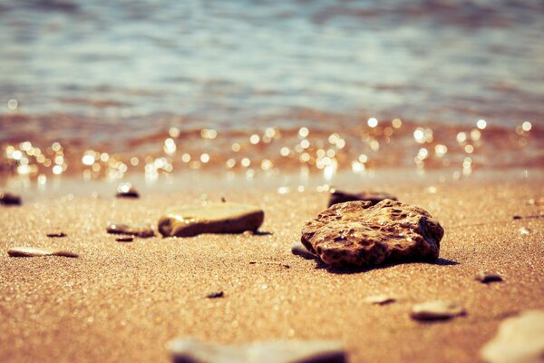 Rêves sur la mer douce et le sable doré