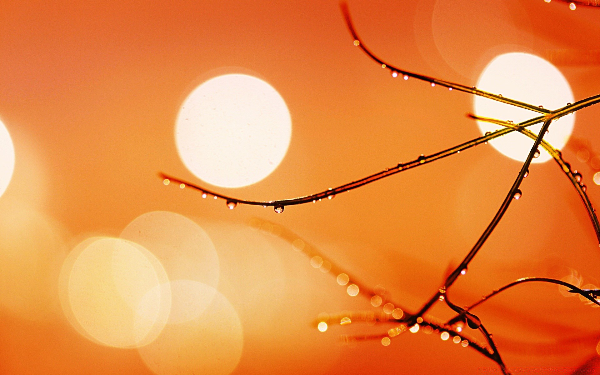 bokeh luminoso sfocatura astratto natale desktop colore luce sole