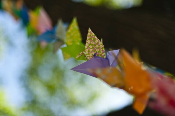 Feuilles lumineuses sur fond flou