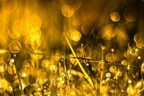 Helle goldene Farbe Bokeh