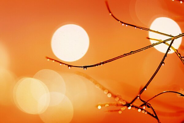 Christmas bokeh on an orange background