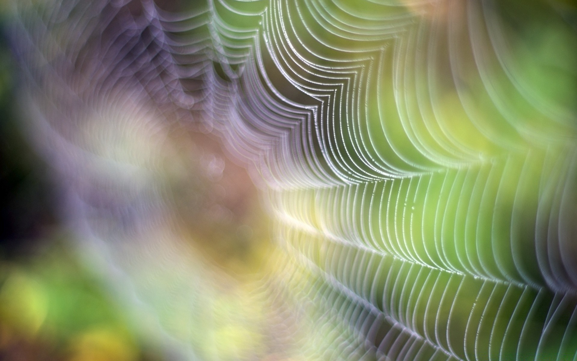 bokeh streszczenie rozmycie pulpit tekstura kolor projekt szablon światło sztuka jasne tło natura