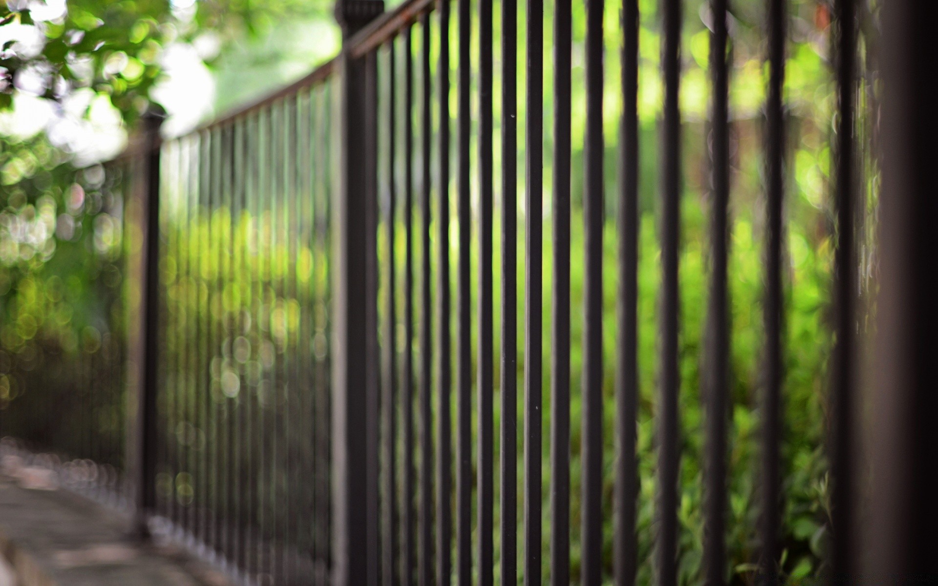 bokeh wood fence leaf desktop light outdoors tree old nature