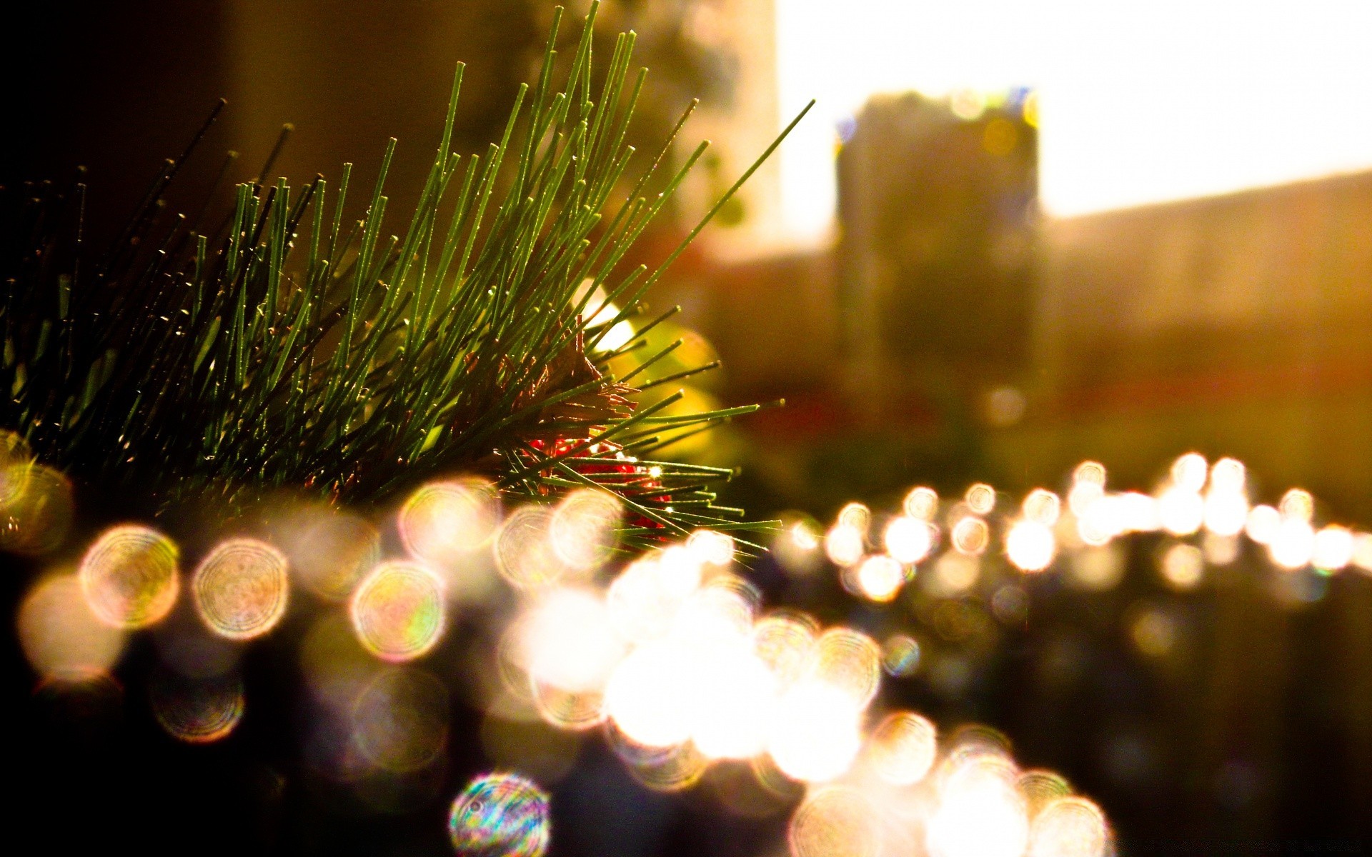 bokeh weihnachten urlaub unschärfe merry party eva winter gold fokus leuchten licht lumineszenz dekoration festival ball farbe hell funkeln urlaub baum