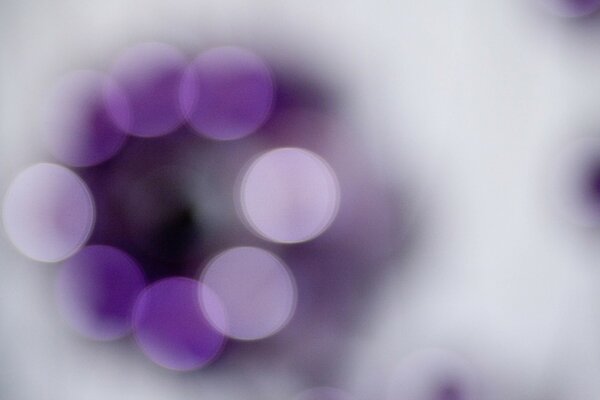 Purple and lilac circles all around