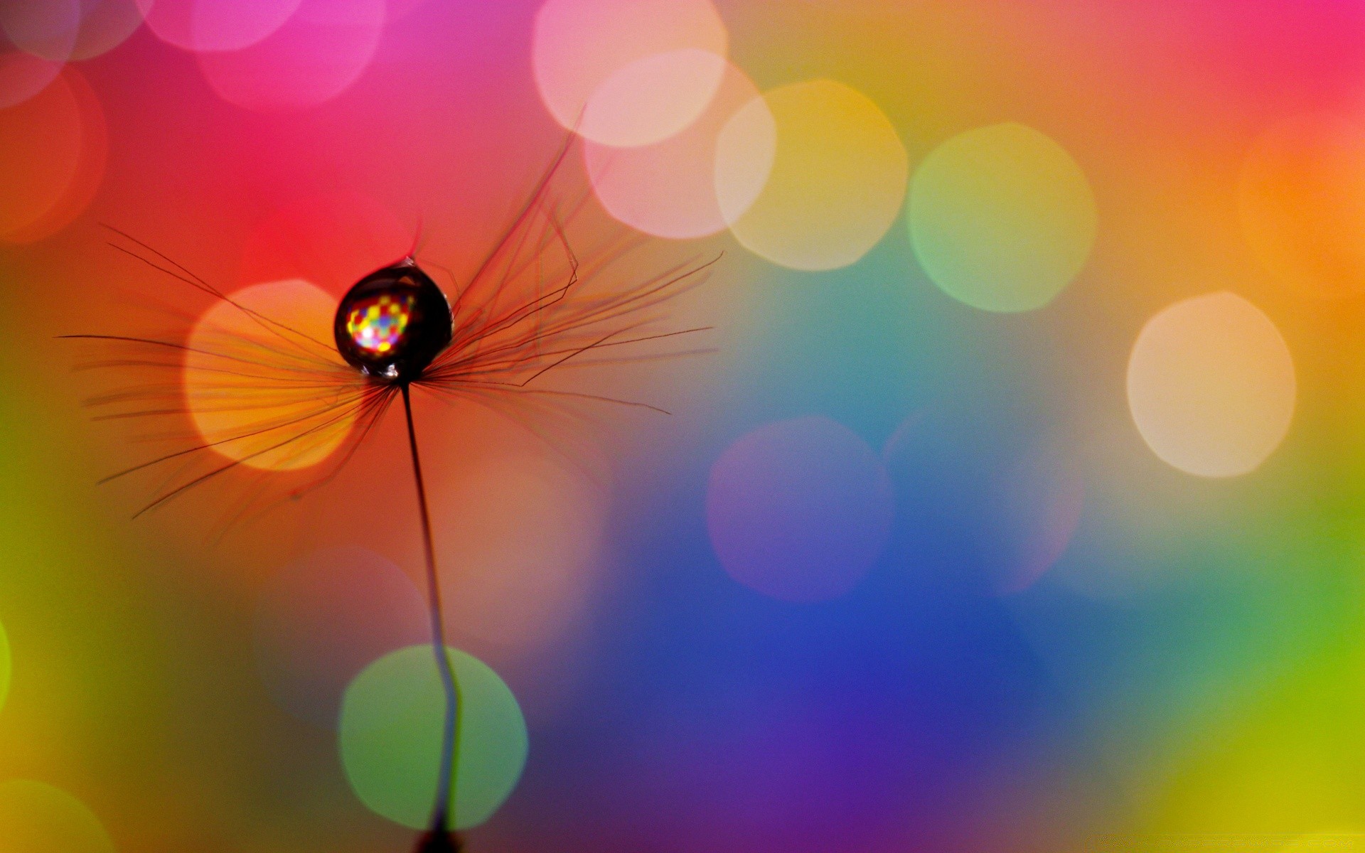 bright colors bright blur abstract color desktop shining design