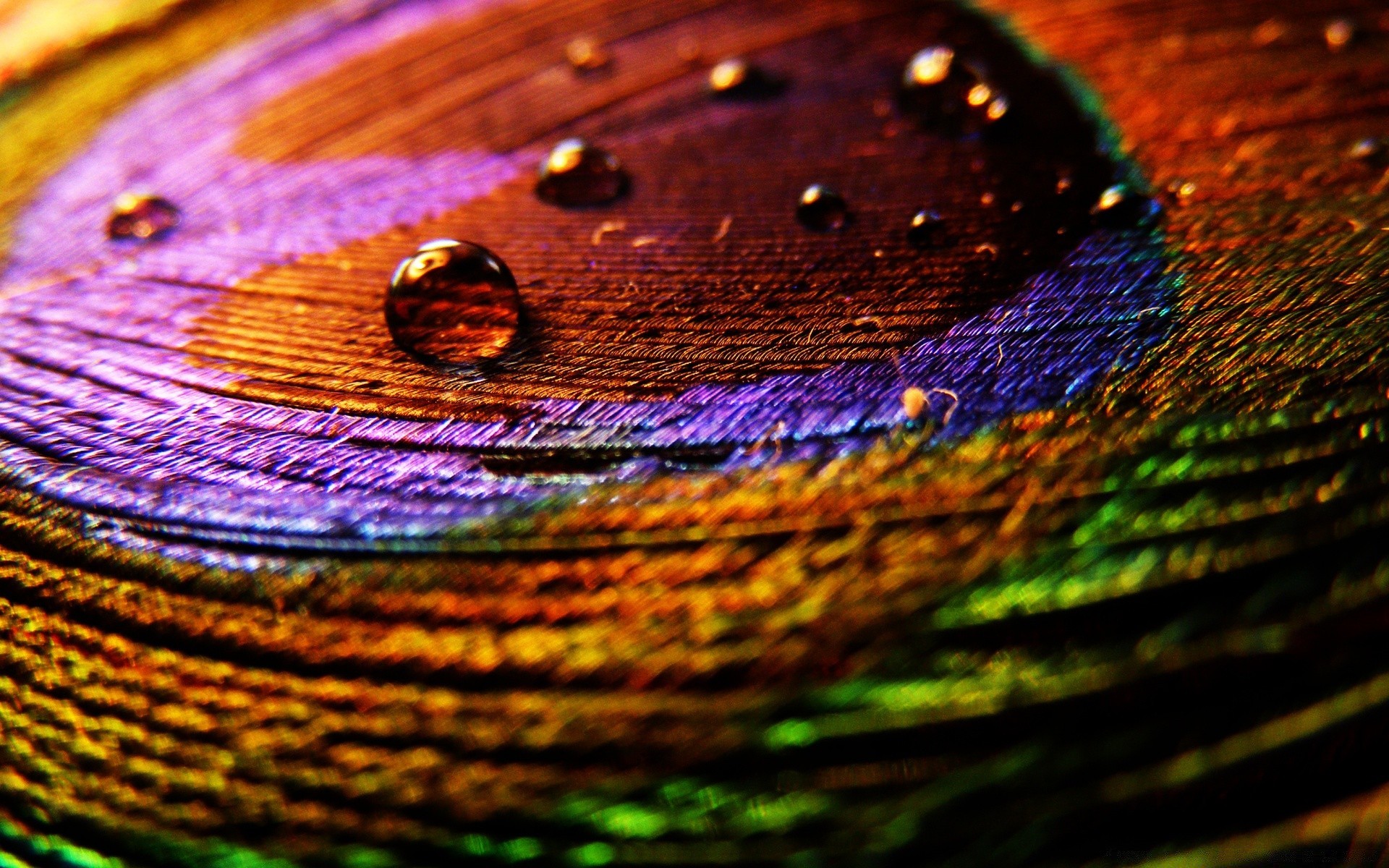 peinture lumineuse ronde couleur résumé modè le texture bureau lumineux réflexion la nature conception chute arc-en-ciel lumière eau humide pluie briller