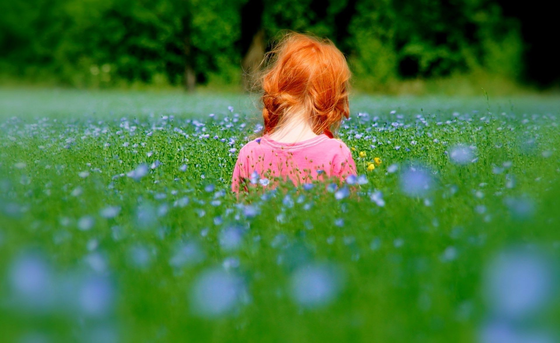 bambini all aperto erba natura estate fieno all aperto fiore piccolo bambino parco