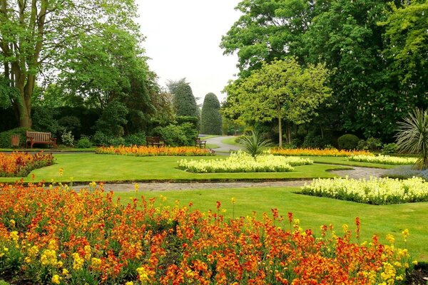 Orange weiße und rote Blüten blühten