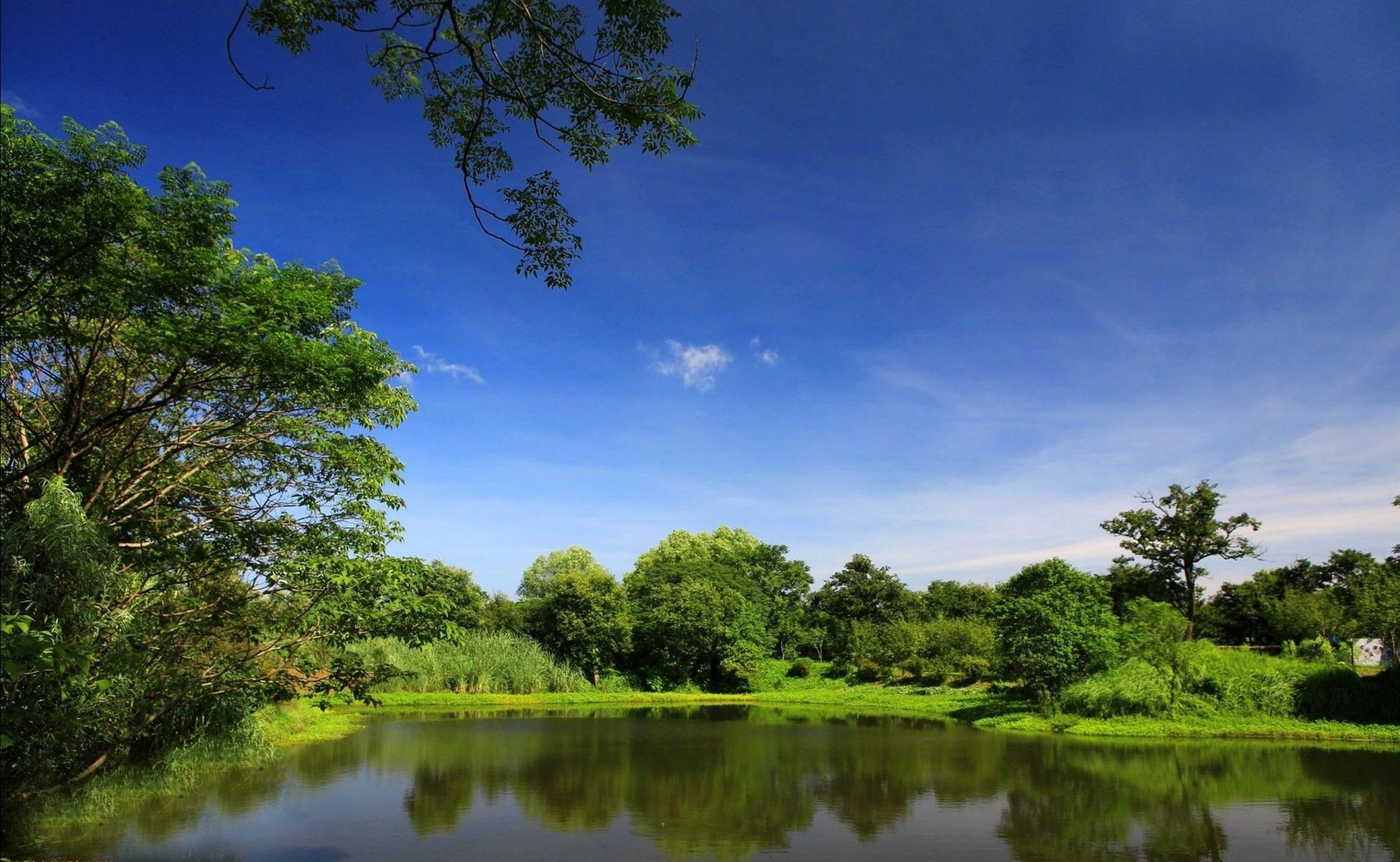 parki drzewo natura jezioro krajobraz woda na zewnątrz odbicie drewno niebo lato rzeka basen wiejski idylla liść chłód sceniczny trawa plesid