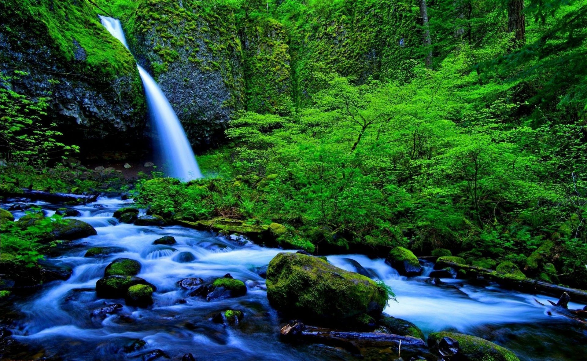 waterfalls water waterfall river wood nature stream rock outdoors leaf cascade landscape creek purity travel fall moss motion mountain wet