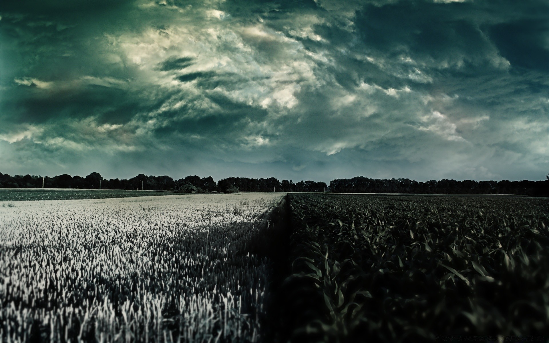 creativo paesaggio terra coltivata natura all aperto agricoltura cielo tempesta azienda agricola