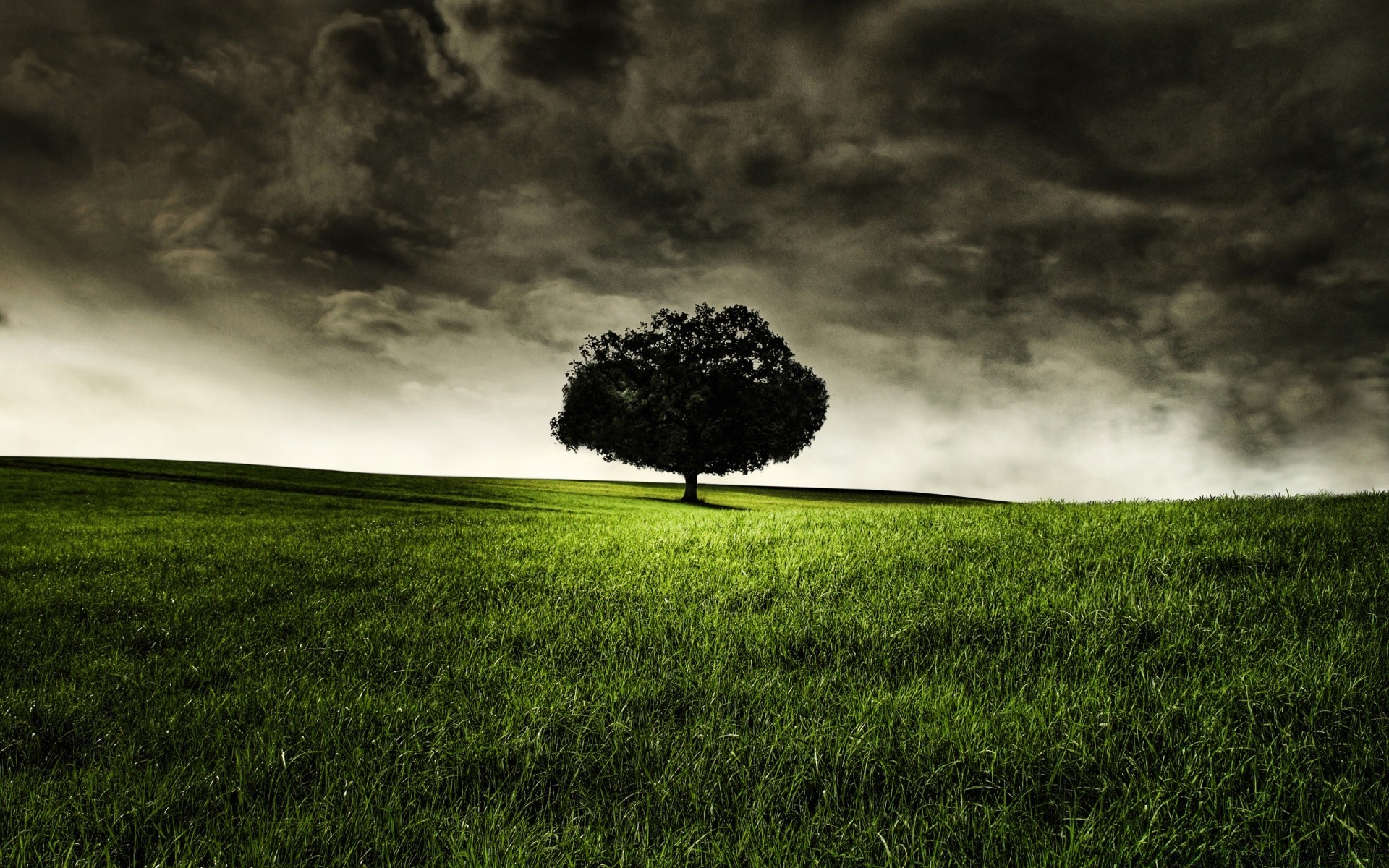 kreativ landschaft sturm gras himmel natur baum feld wetter regen dämmerung wolke landschaft licht bewölkt sonnenuntergang heuhaufen