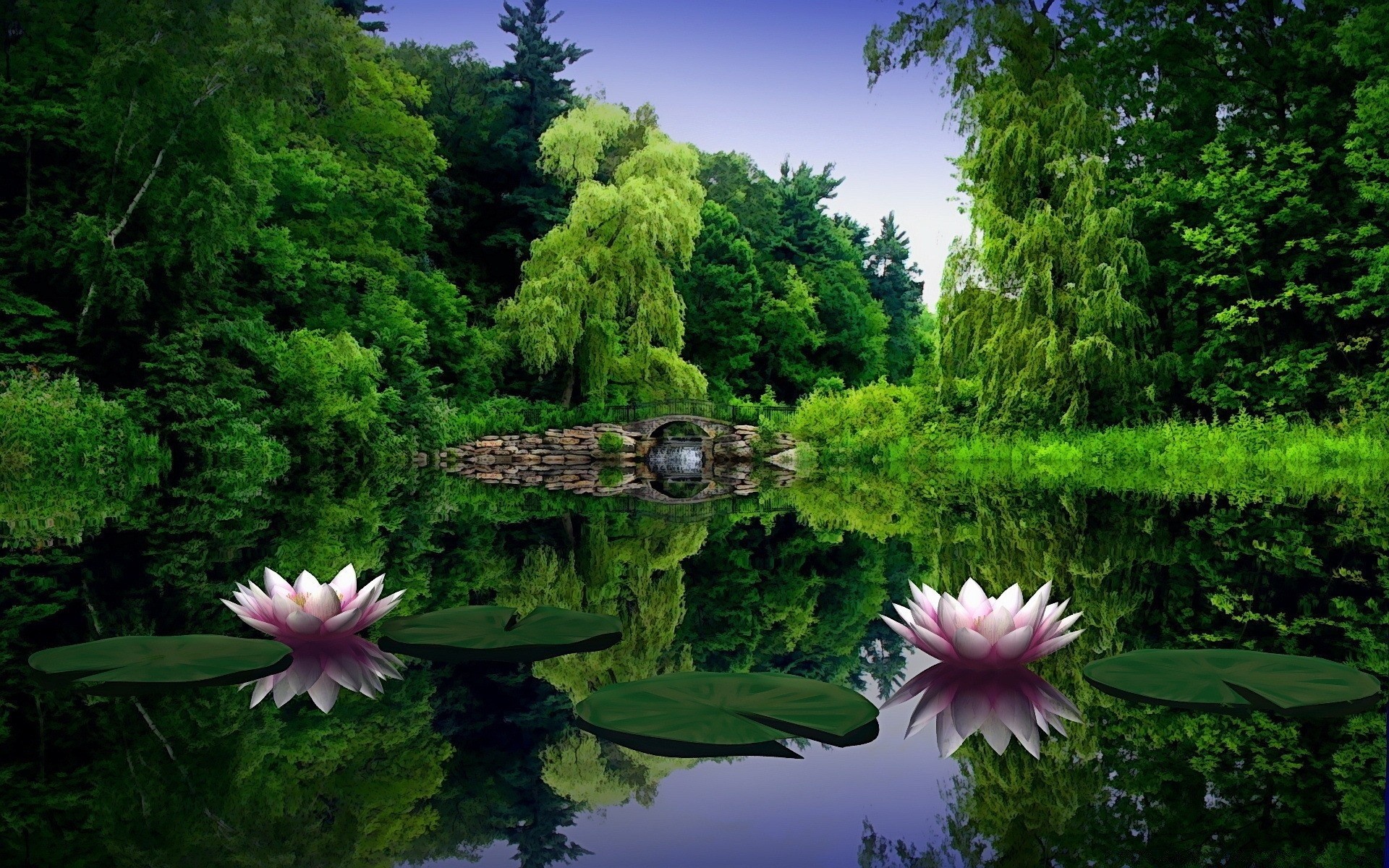 kreatywny natura basen ogród flora lato park liść kwiat piękne środowiska krajobraz jeziora sezon świat woda zen drzewo na zewnątrz