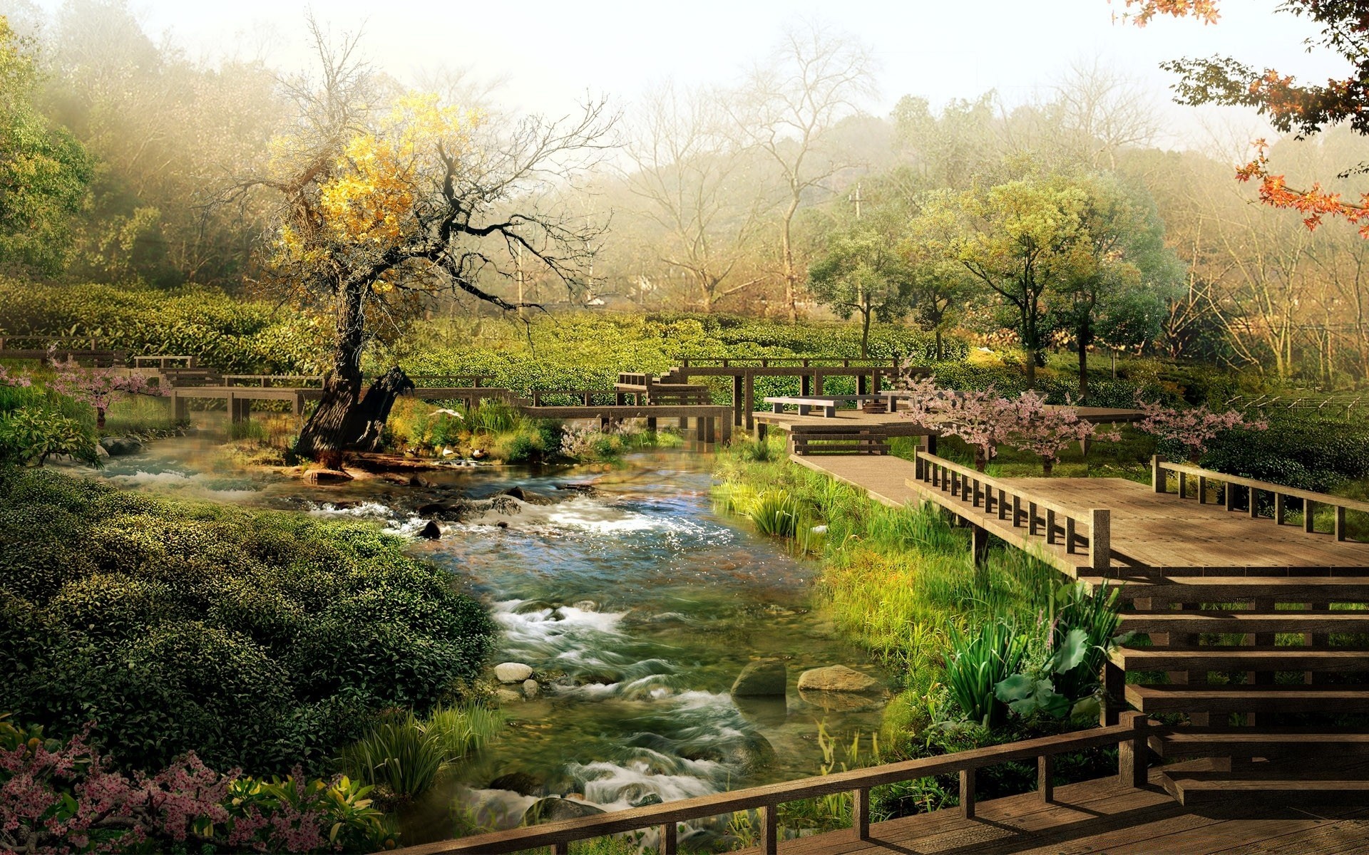 creativo natura legno legno acqua paesaggio fiume all aperto viaggi autunno parco rurale campagna ambiente