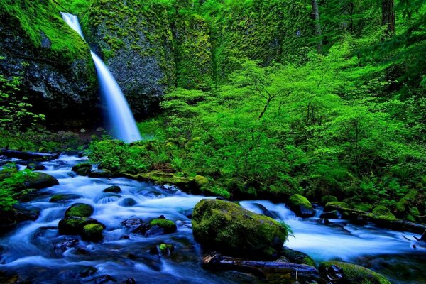 Природа водопад лес река