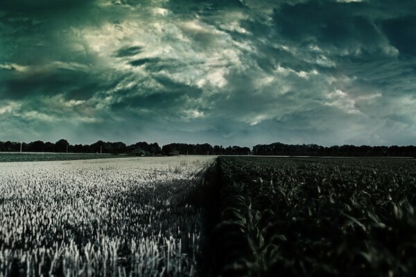 Gloomy landscape field and sky