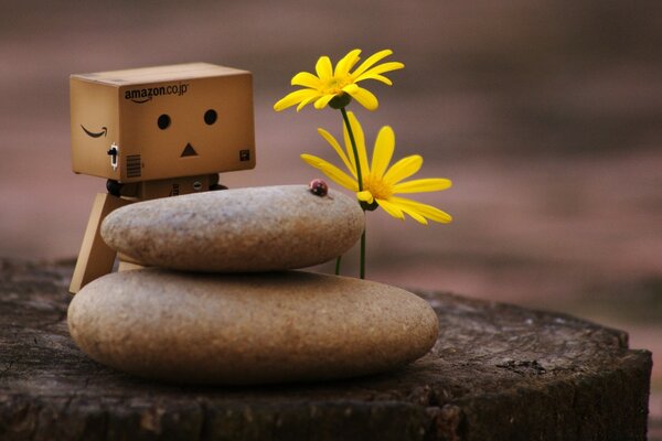 Still-life. There is a construction of stones and flowers on the log