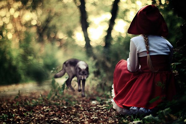 Chapeuzinho Vermelho encontra lobo