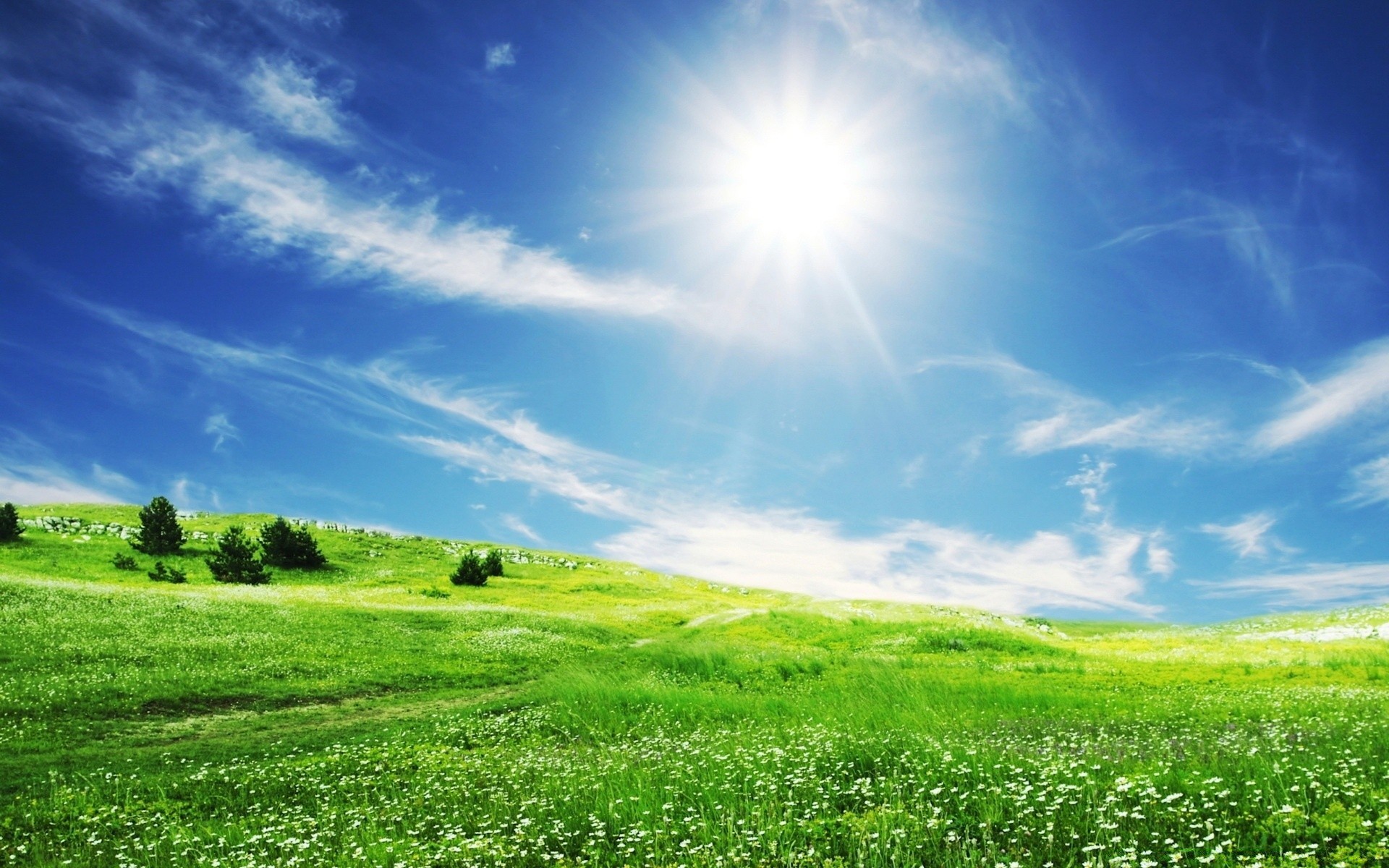 kreativ gras heu feld natur landschaft ländlichen sonne gutes wetter weide rasen horizont sommer himmel landschaft boden bauernhof wolke szene hell idylle