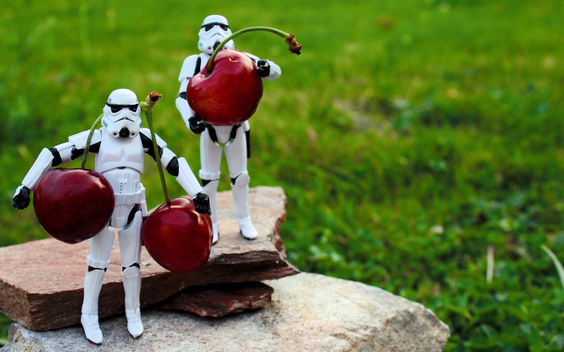 kreativ natur sommer im freien gras essen