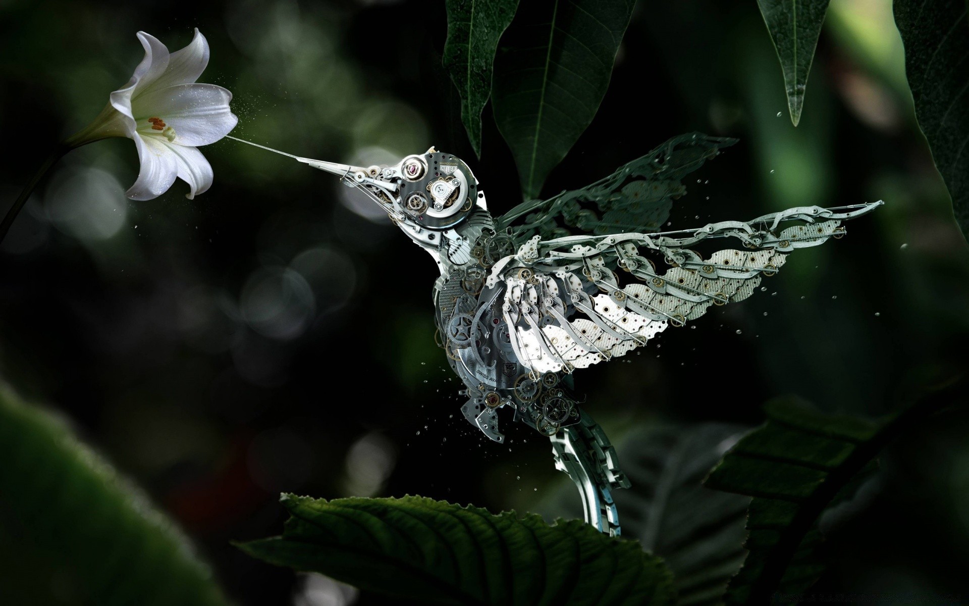 créativité nature feuille à l extérieur jardin flore la faune gros plan oiseau sauvage tropical