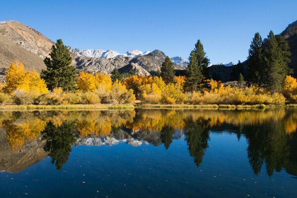 Paisaje de otoño de árboles que se reflejan en el lago