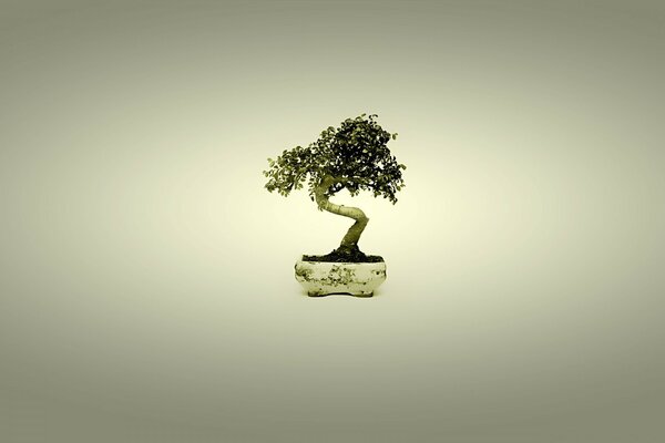 Gift statuette, small tree