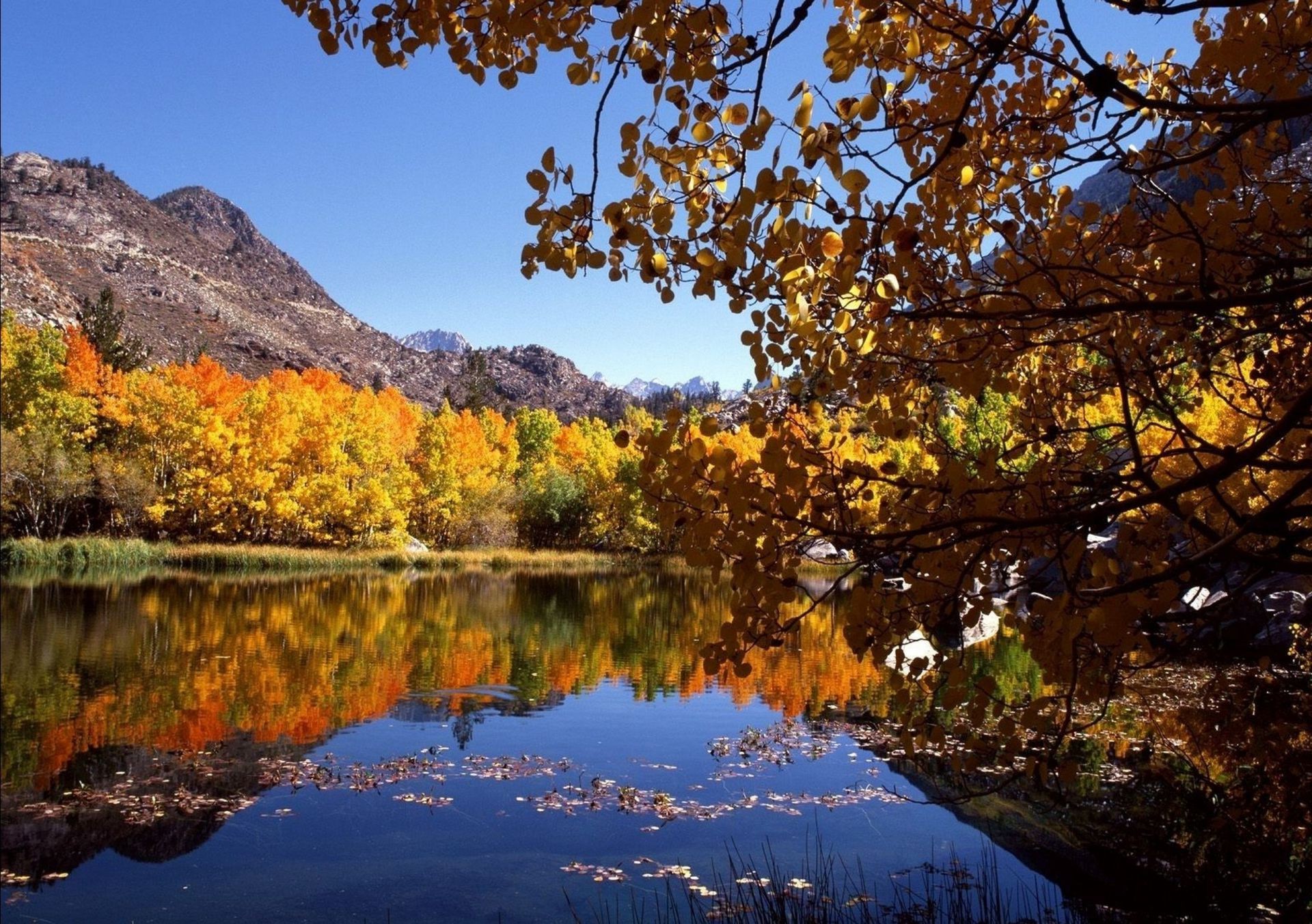 montagnes automne eau nature paysage arbre lac feuille à l extérieur bois scénique réflexion rivière érable saison or parc paysages ciel