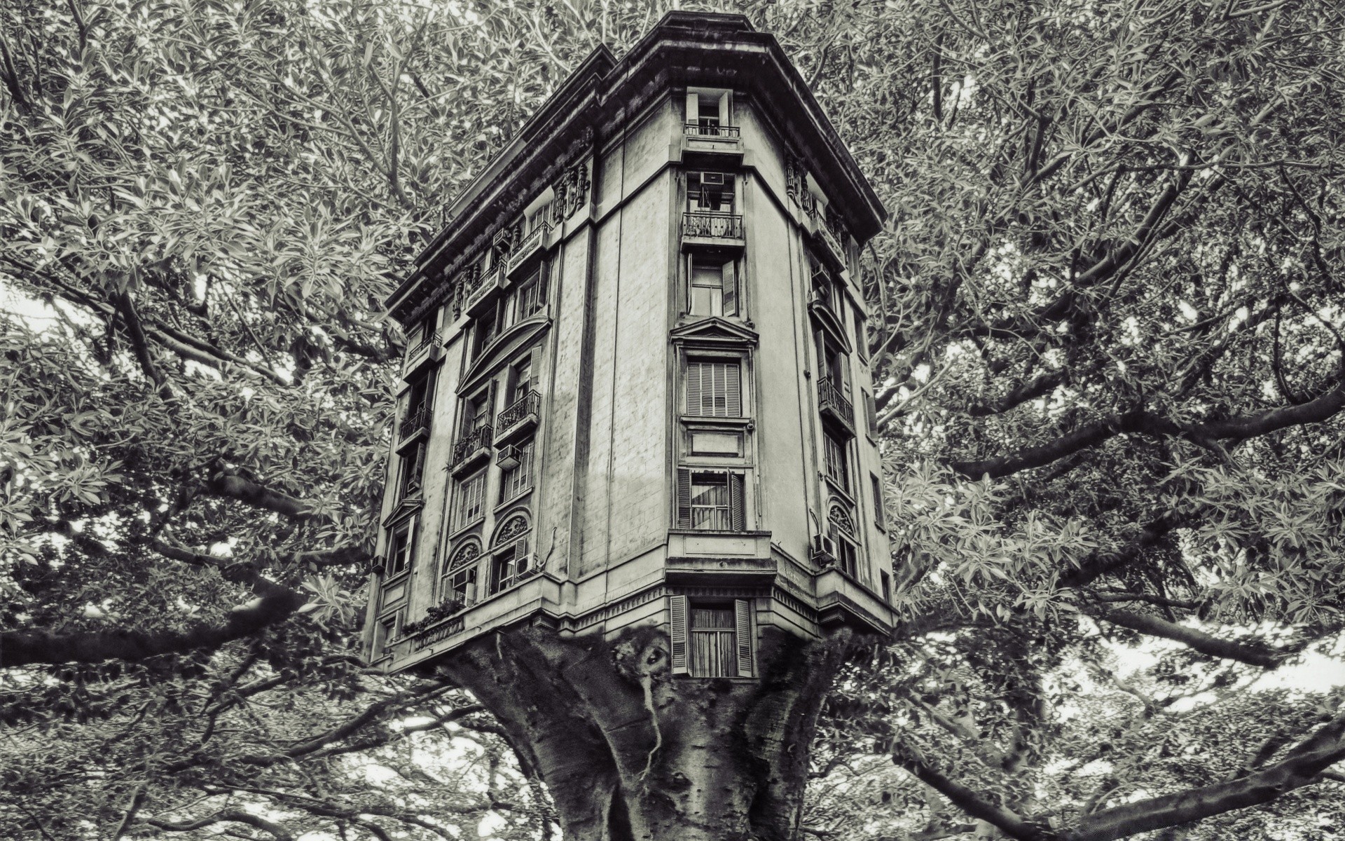 criativo velho casa arquitetura madeira madeira viagem vintage ao ar livre antigo casa rua