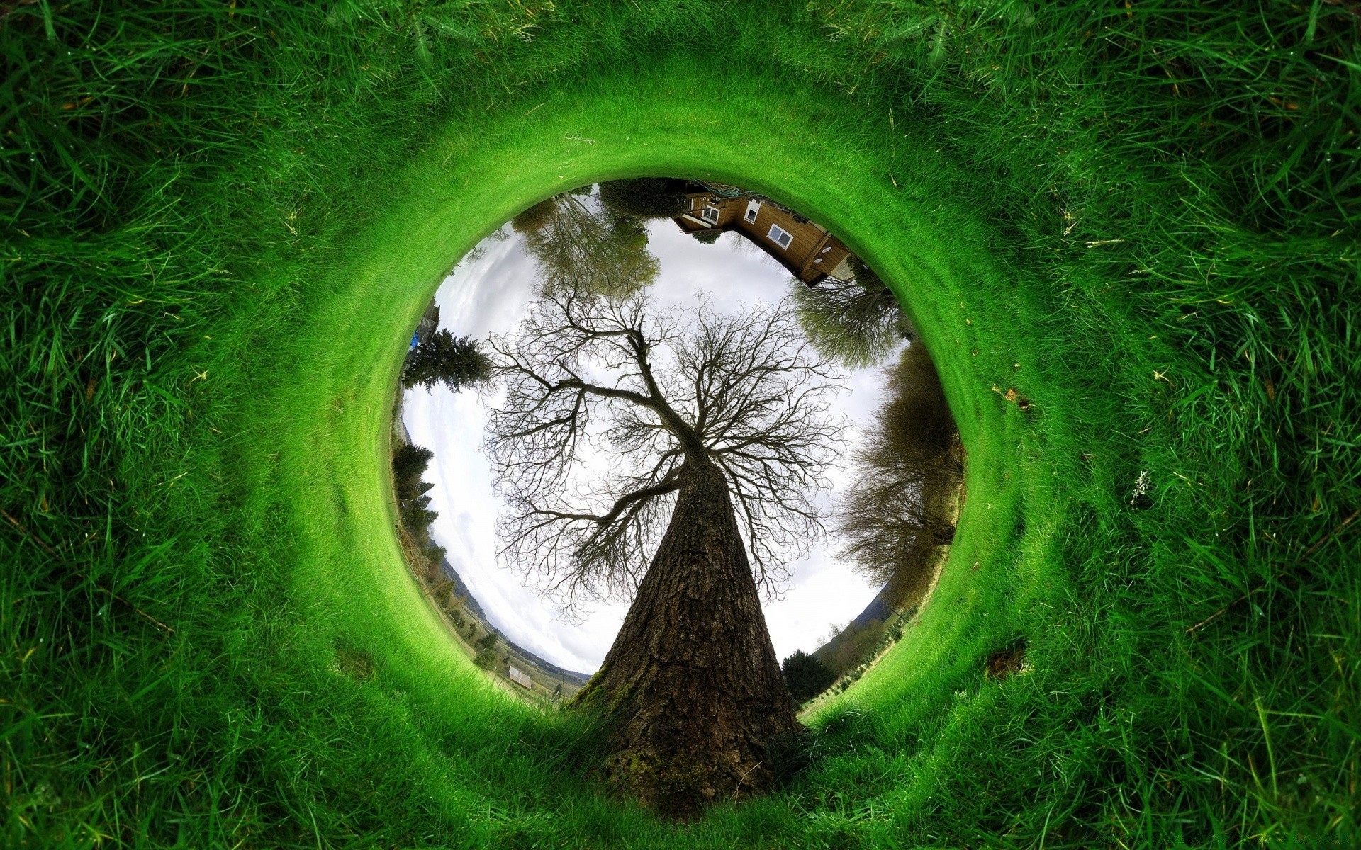 creativo hierba naturaleza medio ambiente césped paisaje en forma de bola ecología al aire libre verano hoja espectáculo campo parque heno flora suelo