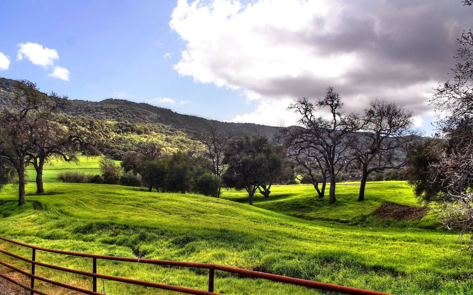 creative tree landscape nature grass rural hayfield field wood sky countryside summer flora outdoors sight scenic hill season scenery environment