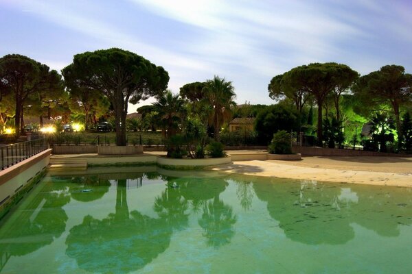 Paysage de parc tropical avec piscine verte