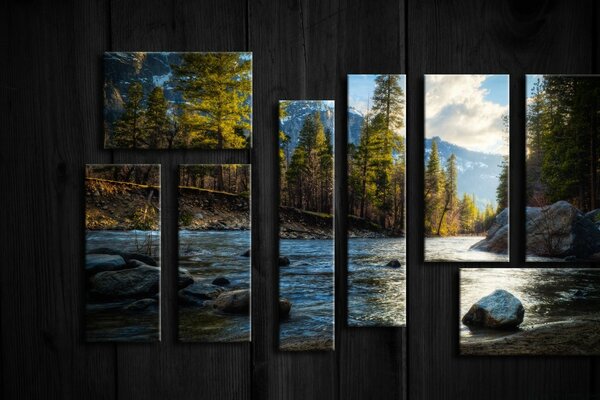 Beautiful pictures of nature on the wall