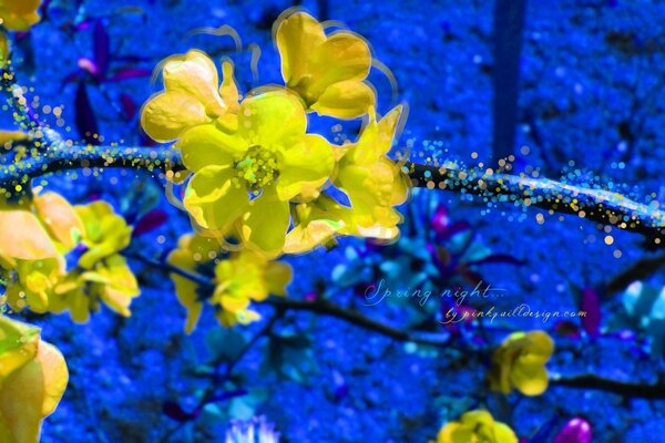 Impresionante combinación de amarillo y azul