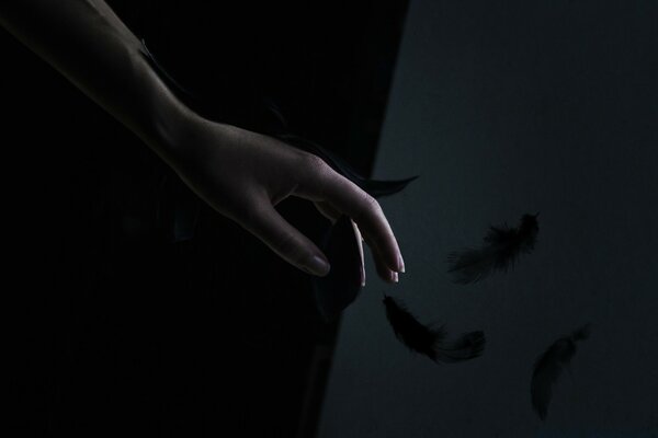 A woman s hand in the dark among the feathers