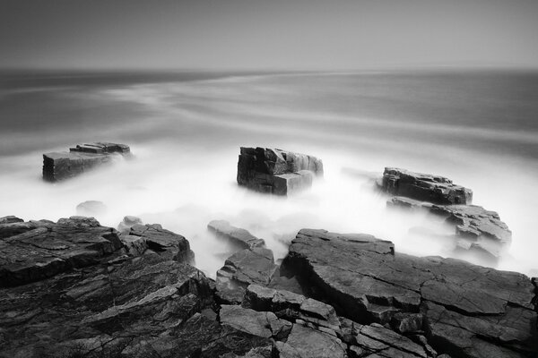 Niebla Marina en blanco y negro