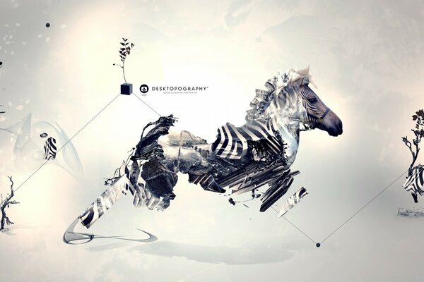 Creative zebra on the move