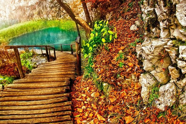 Holzweg mit Brücke über den Teich