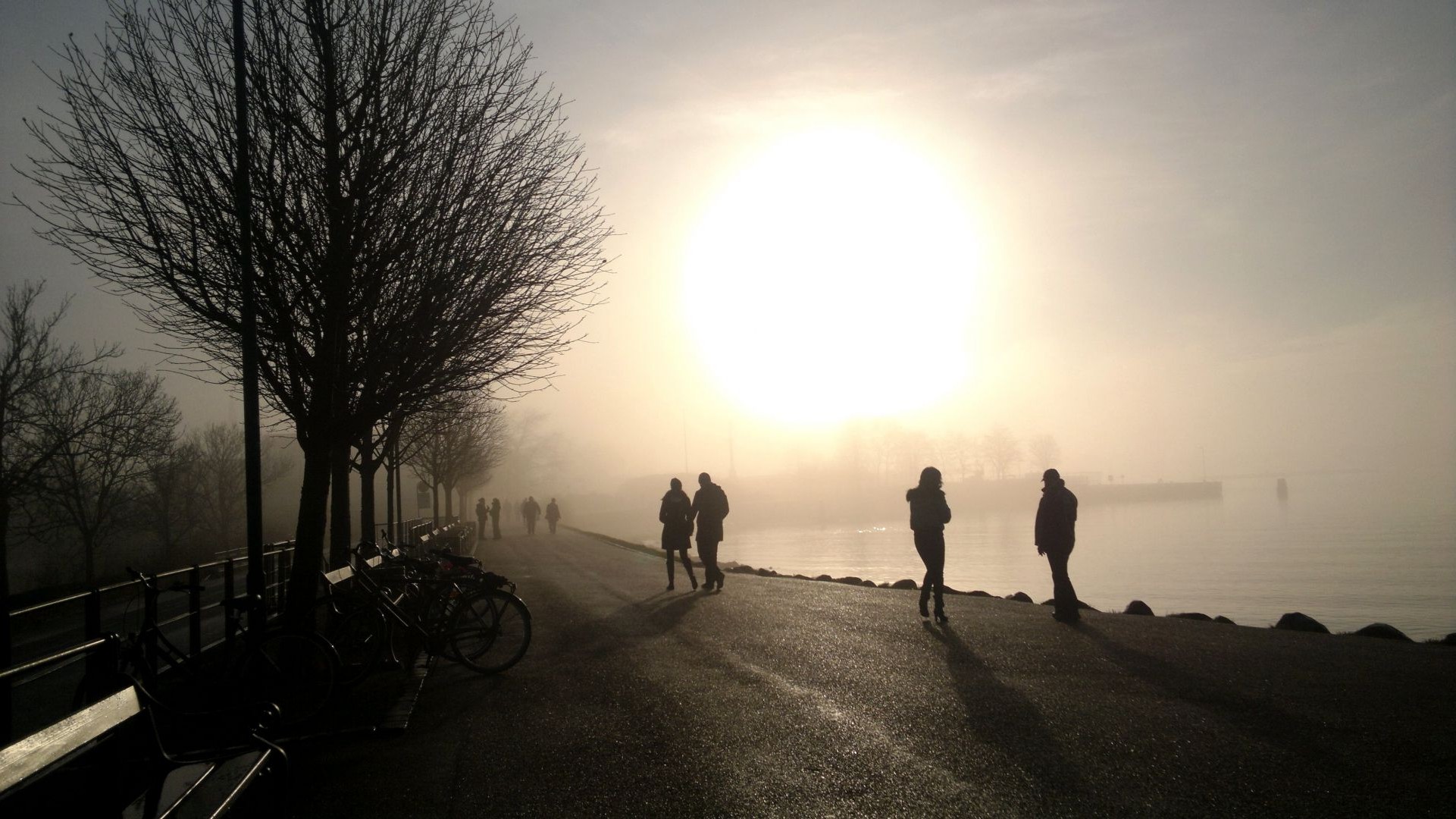 road sunset dawn silhouette fog backlit landscape evening sun light mist dusk tree street sky weather man