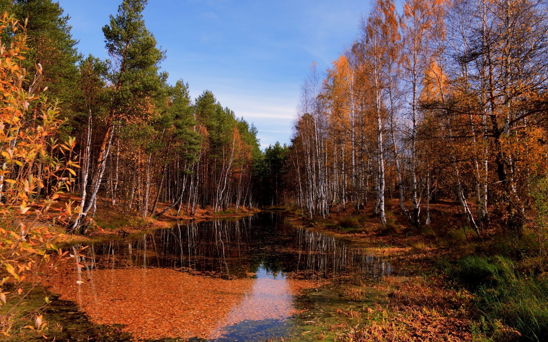 rivers ponds and streams fall wood nature leaf tree landscape outdoors water park season fair weather scenic environment lake dawn composure bright wild reflection